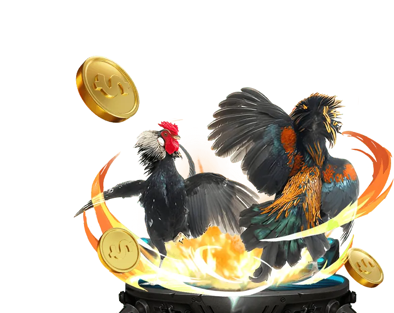 Tại sao chọn OK9