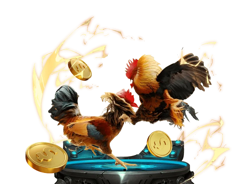 Hoàn trả thể thao ok9